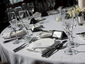 Katie & Mike at The Toledo Club Toledo OH wedding photograph