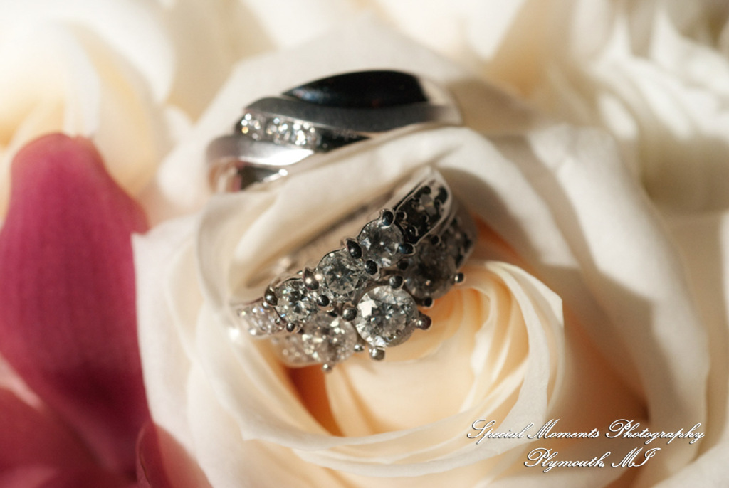 Sericka & Milton at Crystal Gardens Southgate MI wedding photograph