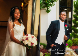 Sericka & Milton at Crystal Gardens Southgate MI wedding photograph