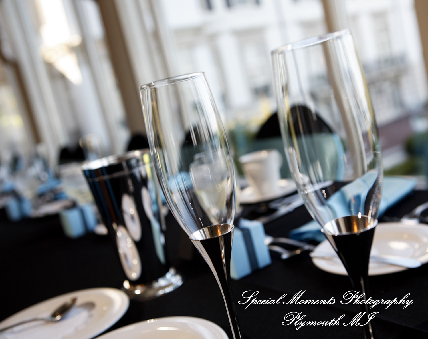 Coleen & Nicolas at Grosse Pointe War Memorial Grosse Pointe Farms MI wedding photography