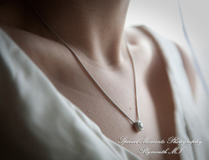 Lori & Kyle at Matthaei Botanical Gardens Ann Arbor MI wedding photograph