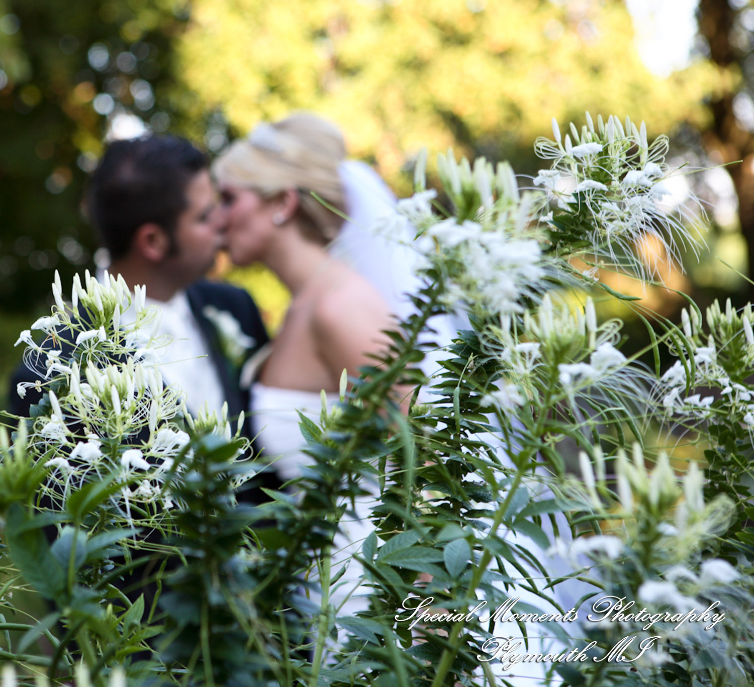 Coleen & Nicolas at Grosse Pointe War Memorial Grosse Pointe Farms MI wedding photography