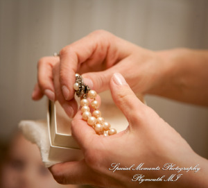 Lori & Kyle at Matthaei Botanical Gardens Ann Arbor MI wedding photograph