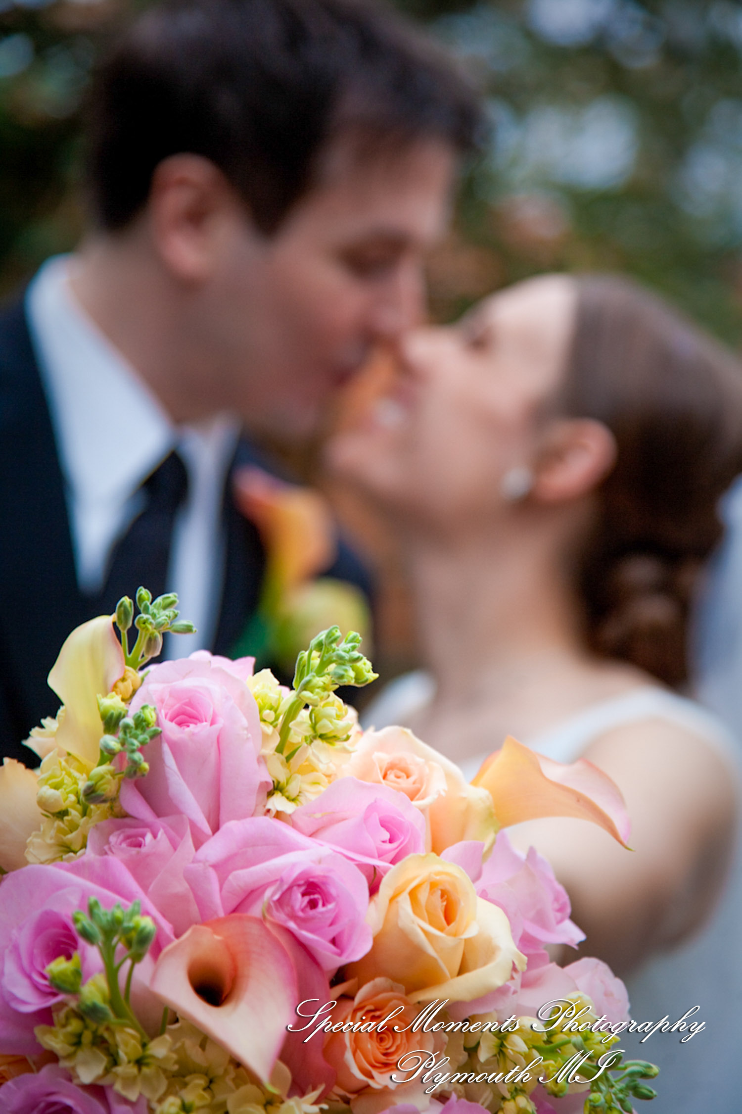 Lori & Kyle at Matthaei Botanical Gardens Ann Arbor MI wedding photograph