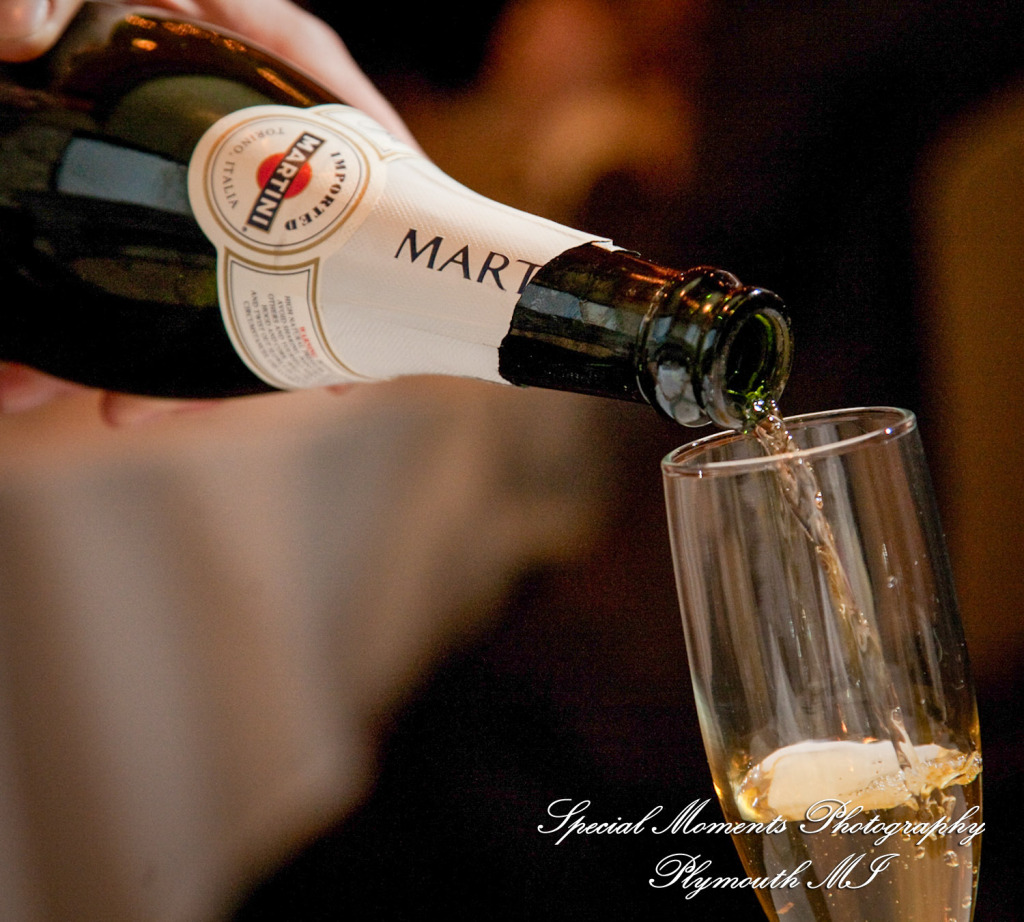 Lori & Kyle at La Piazza Mediterrano Ann Arbor MI wedding photograph