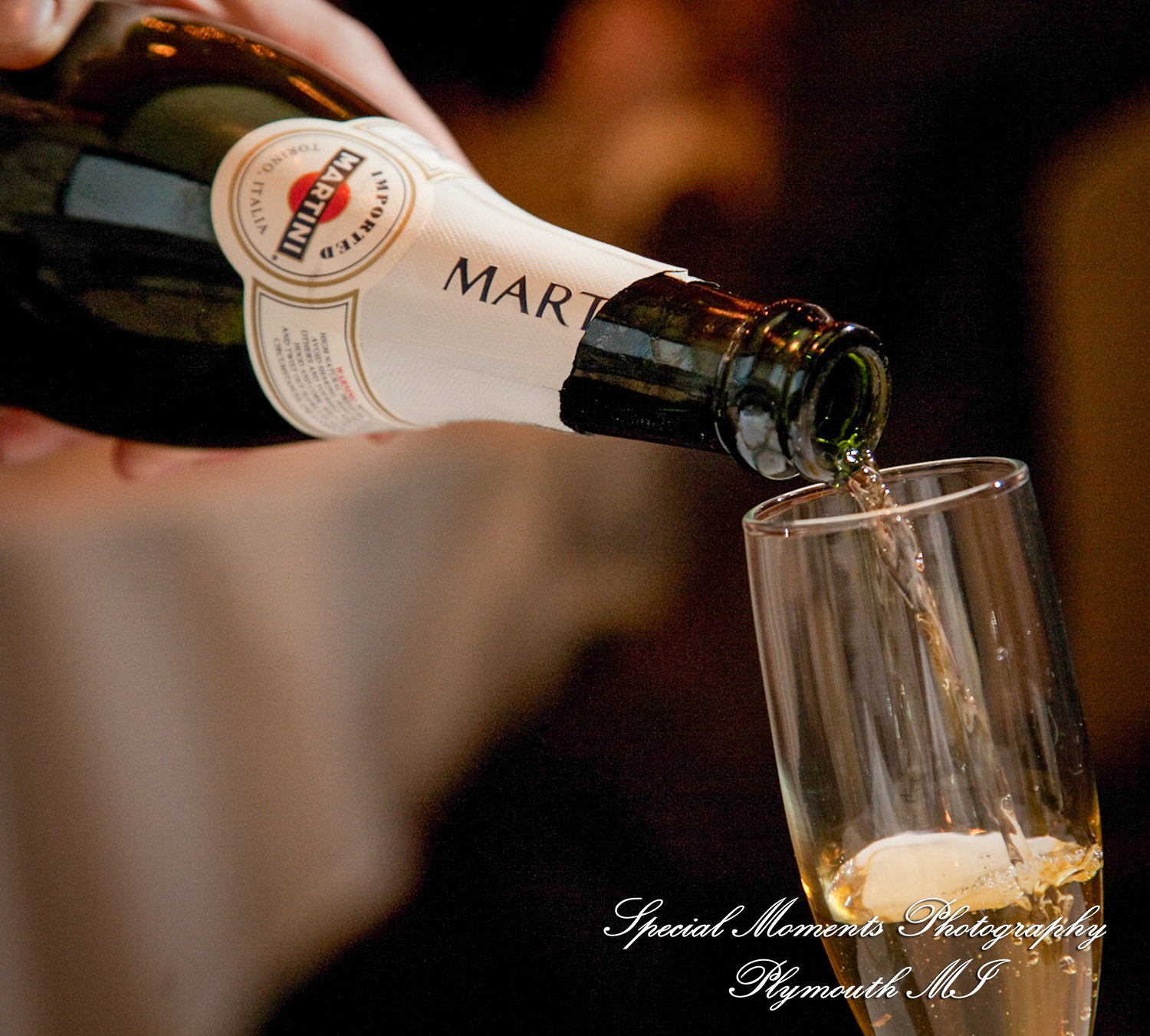 Lori & Kyle at La Piazza Mediterrano Ann Arbor MI wedding photograph