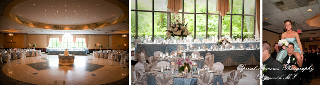 Julie & George at Andiamo's Warren MI wedding photograph