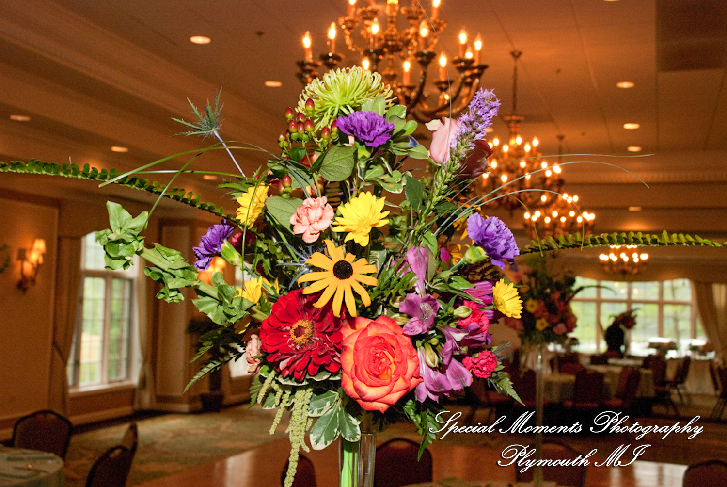 Carol & Bob at Barton Hills Country Club Ann Arbor MI wedding photography