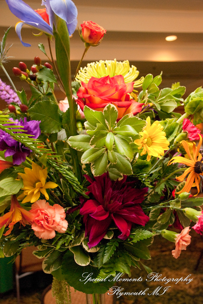 Carol & Bob at Barton Hills Country Club Ann Arbor MI wedding photography