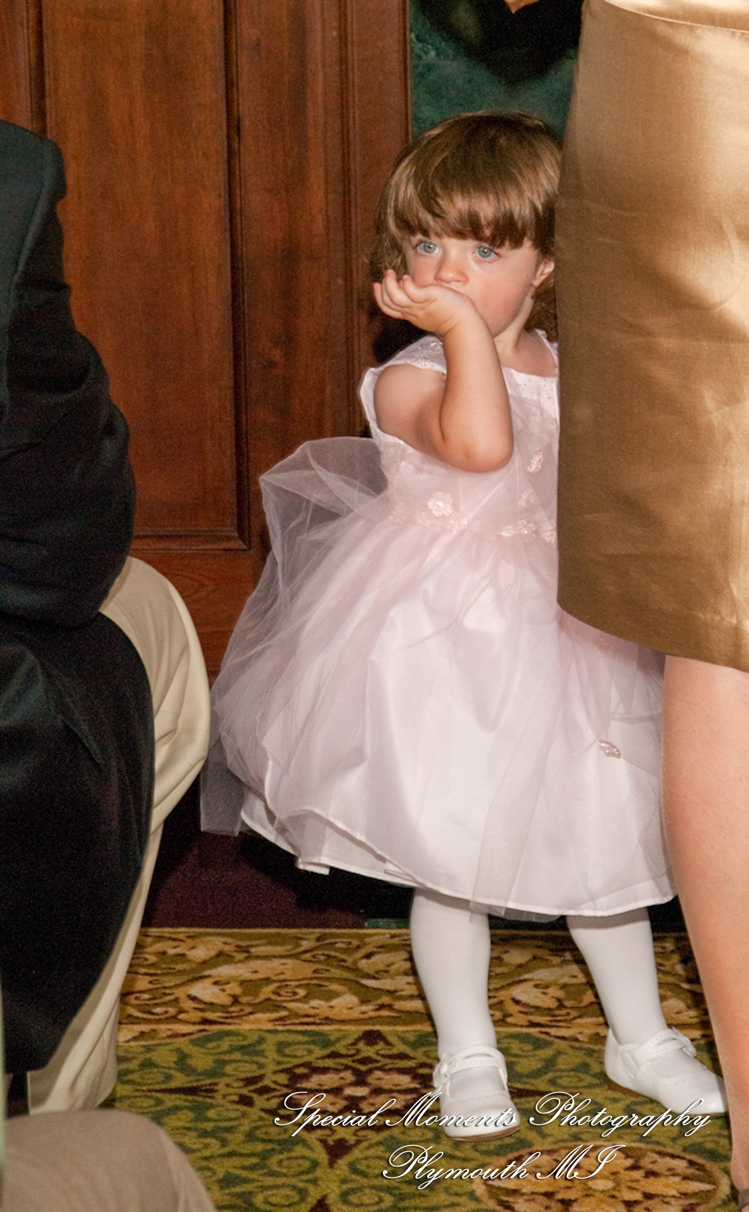 Carol & Bob at Barton Hills Country Club Ann Arbor MI wedding photography