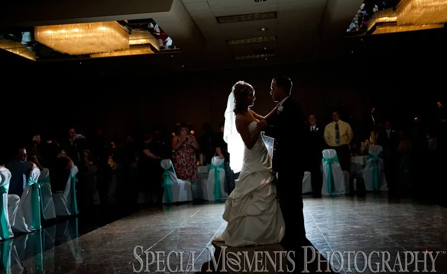 Burton Manor Livonia MI wedding photograph