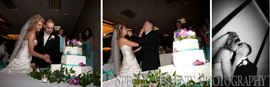 Burton Manor Livonia MI wedding photograph