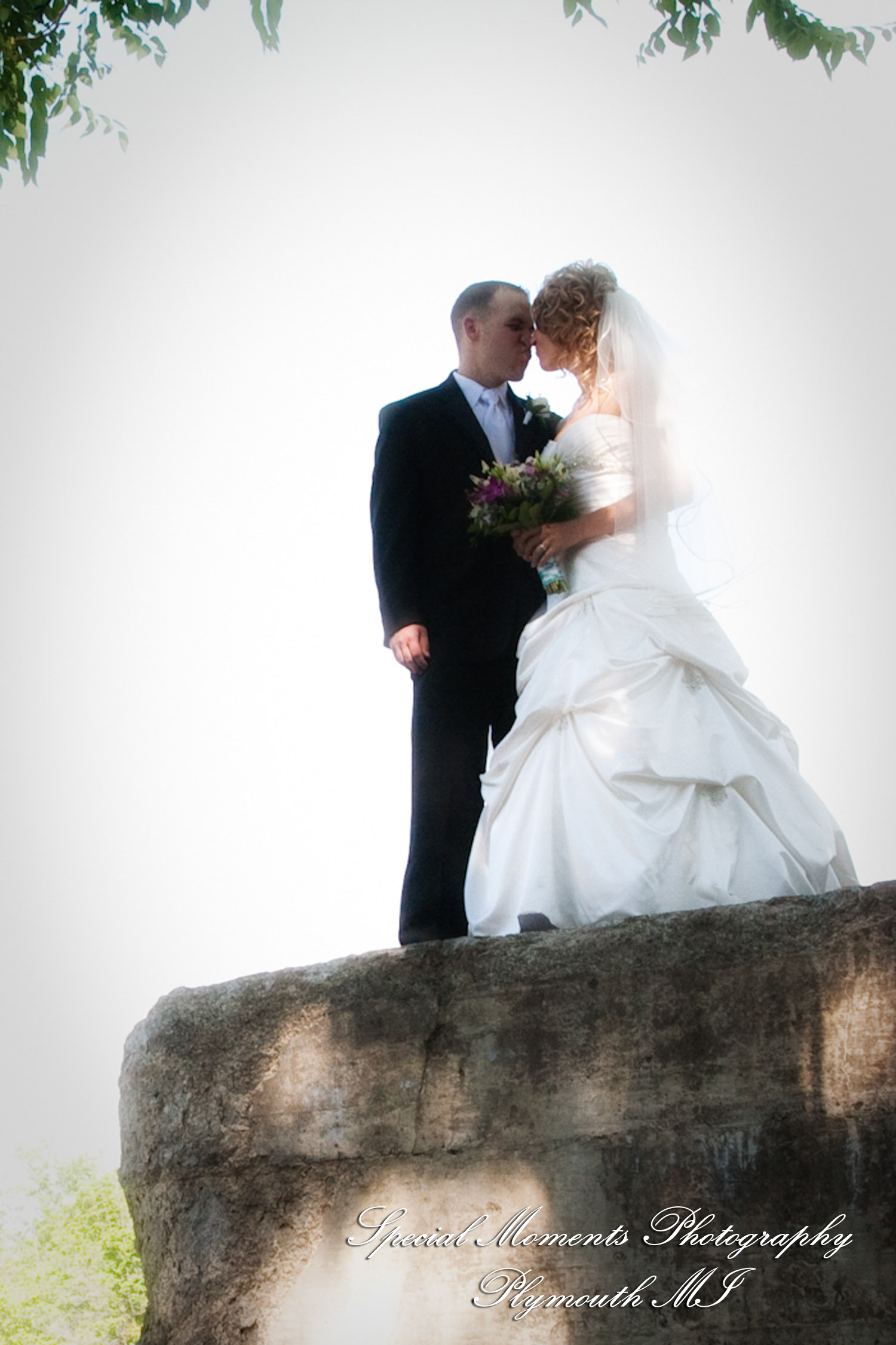 Kim & Mark at Kellogg Park Plymouth MI wedding photograph