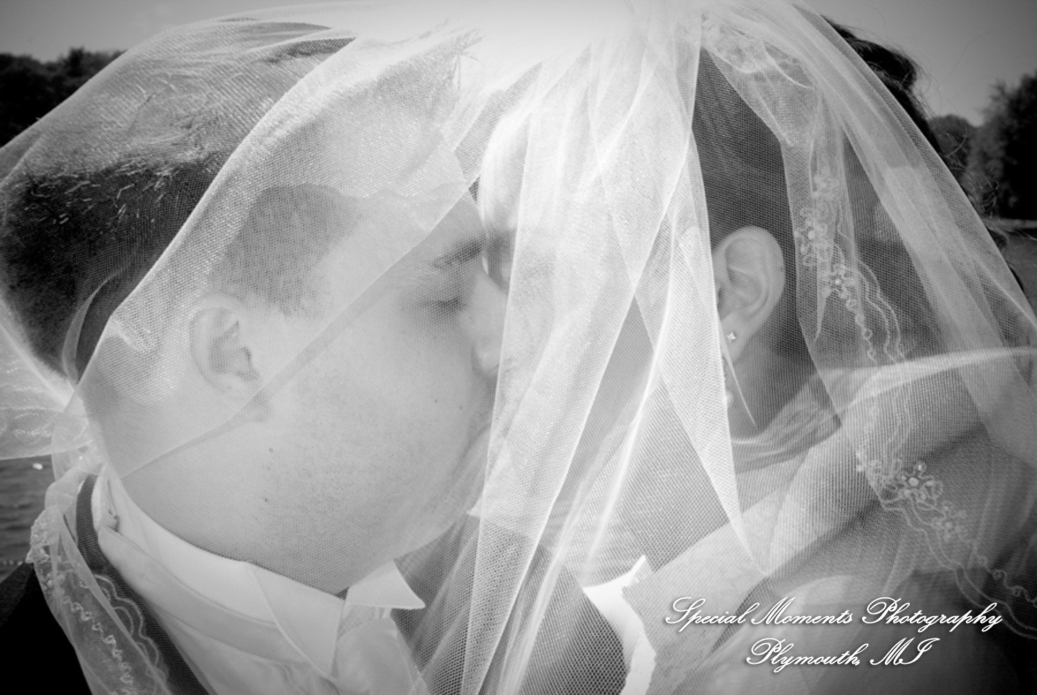Liz & Joe at Meeting House Grand Ballroom Plymouth MI wedding photograph