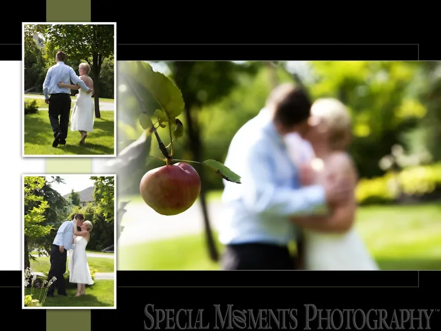 Home Wedding & Reception Farmington Hills MI wedding photograph