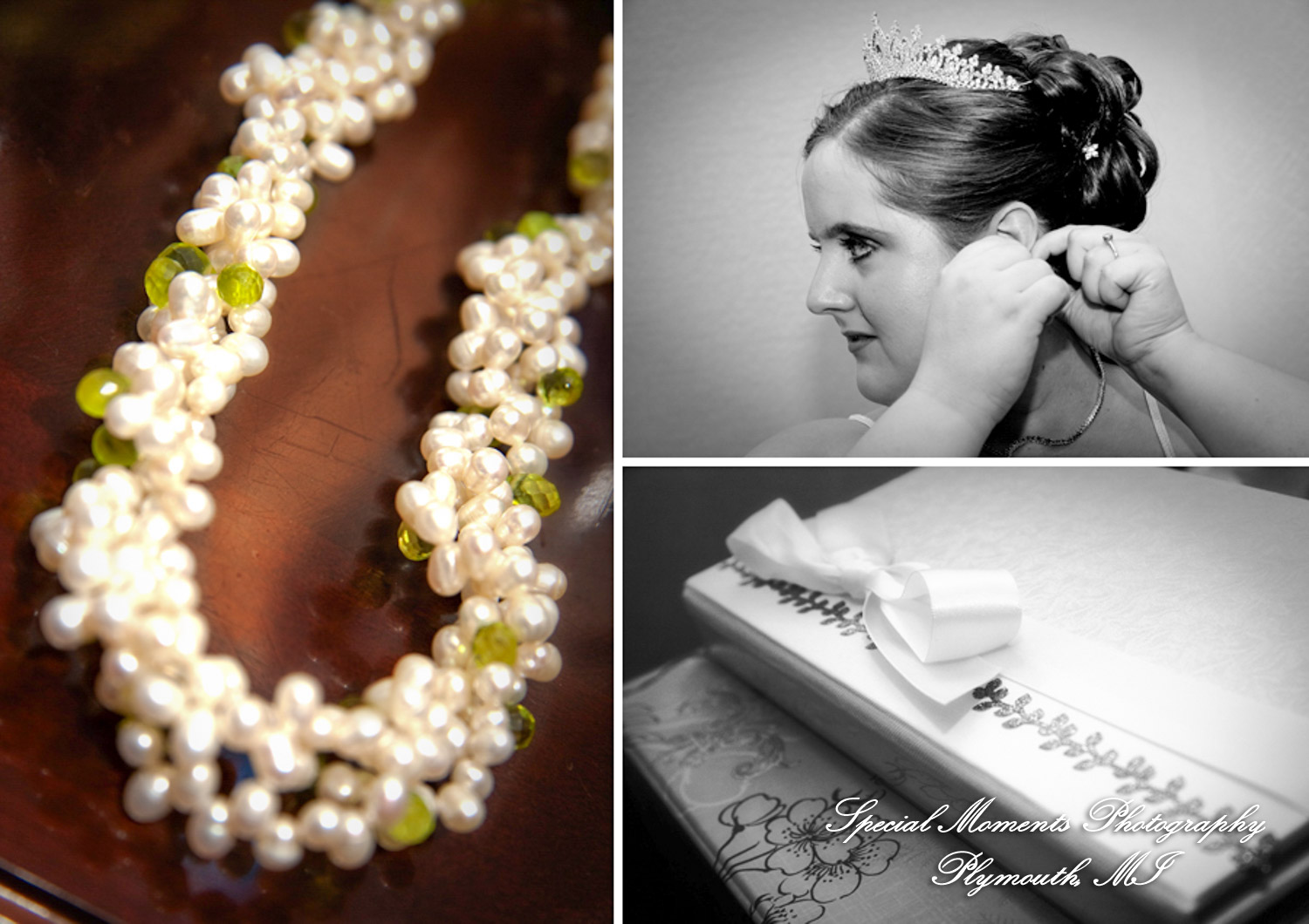 Tamara & Greg at Kensington Hotel Ann Arbor MI wedding photograph