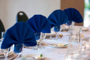 Lauren & Octavian Italian American Club Livonia MI wedding photograph