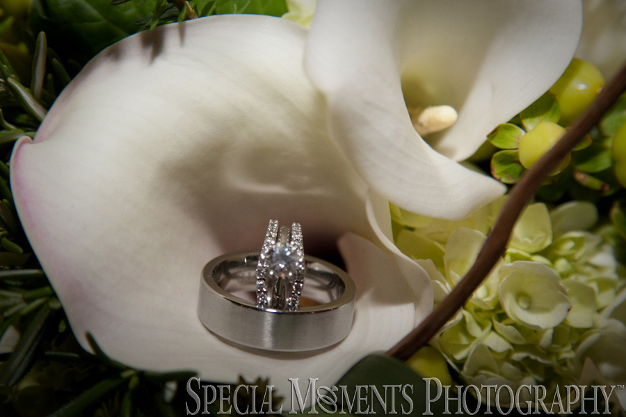 Zion Lutheran Ann Arbor MI wedding