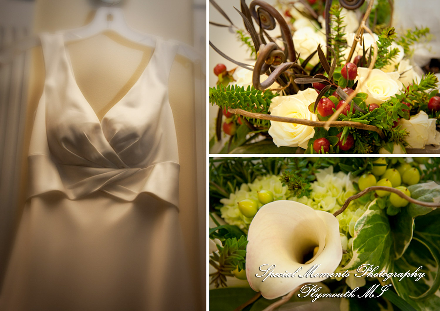 Alexandra & Sean at Zion Lutheran Ann Arbor MI wedding photograph