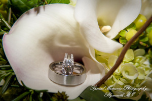 Alexandra & Sean at Polo Fields Golf & Country Club Ann Arbor MI wedding photograph