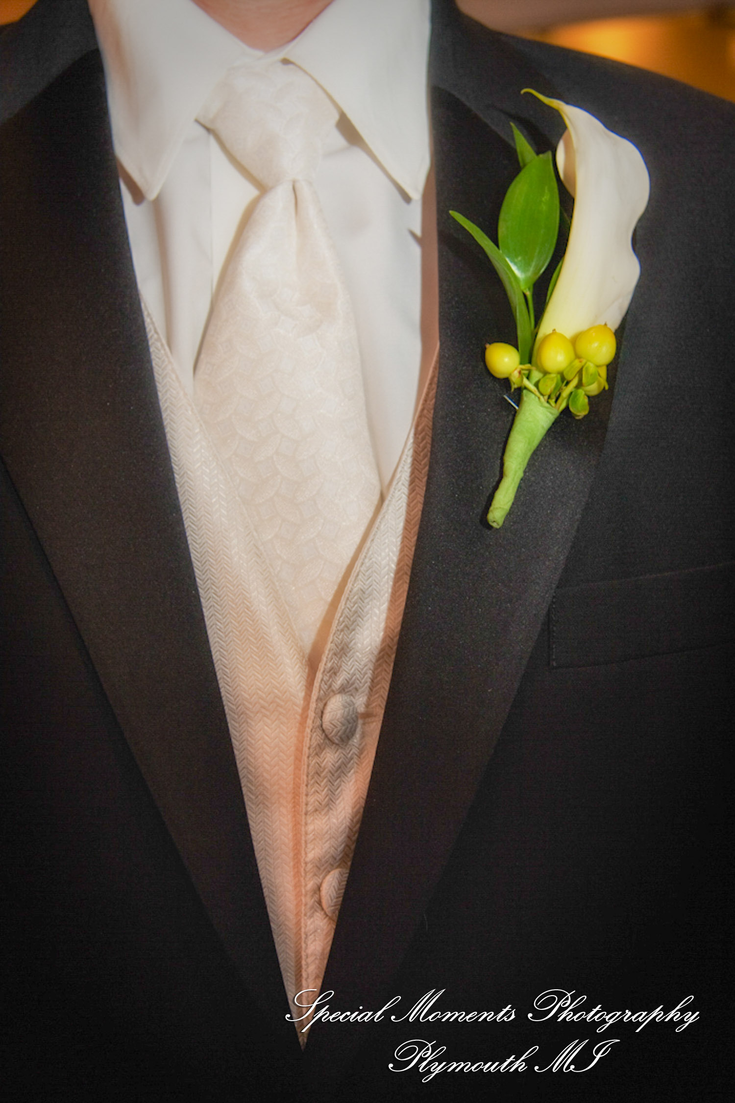 Alexandra & Sean at Zion Lutheran Church Ann Arbor MI wedding photography