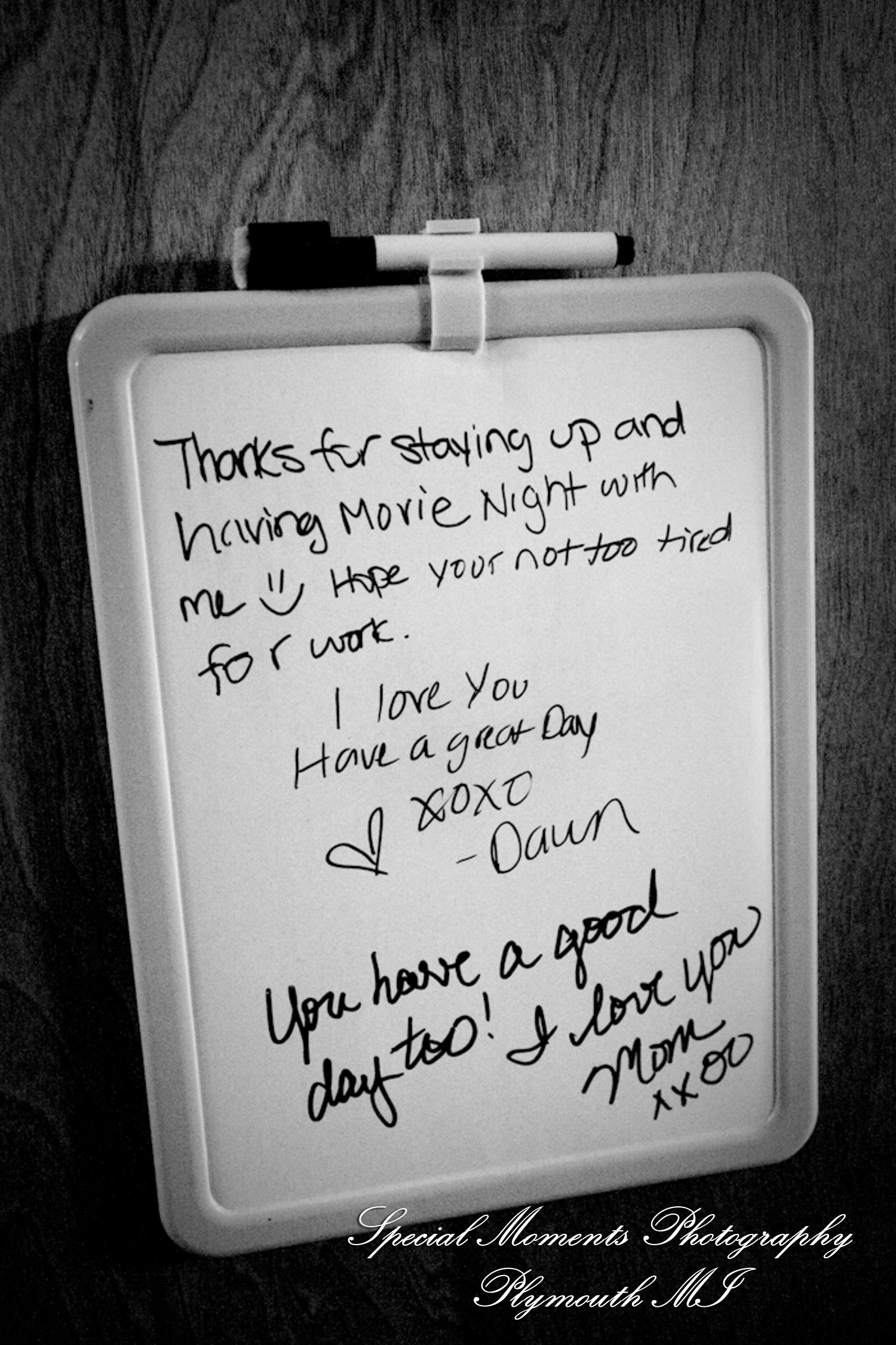 Dayna & Anthony at St. Nicholas Greek Orthodox Church Troy MI wedding photograph