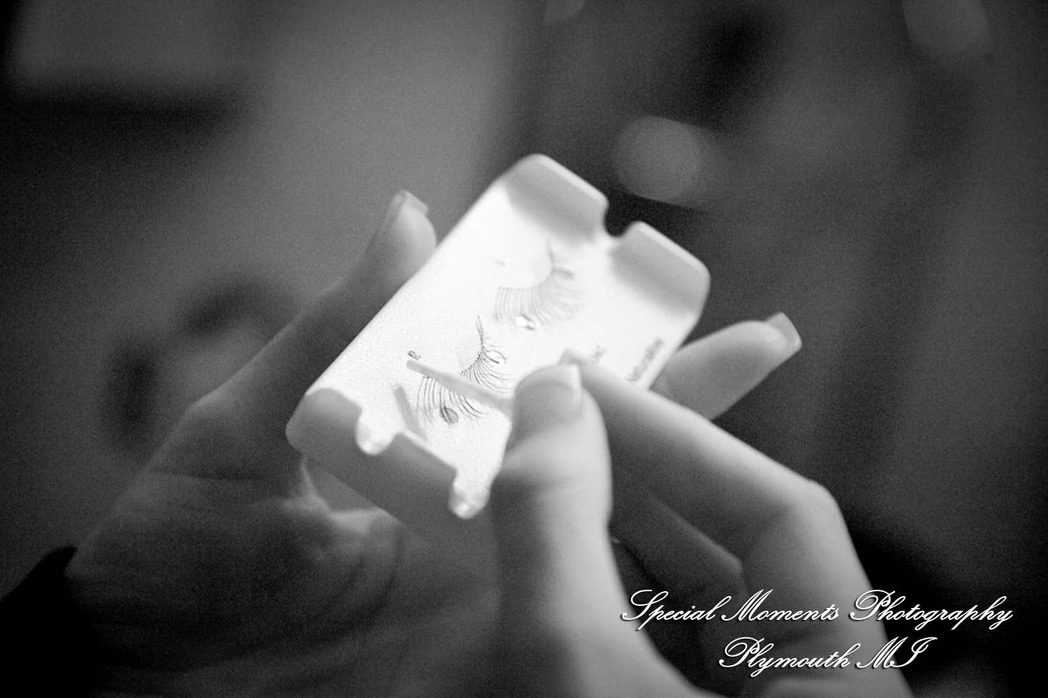 Dayna & Anthony at St. Nicholas Greek Orthodox Church Troy MI wedding photograph