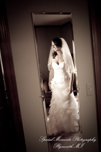 Dayna & Anthony at St. Nicholas Greek Orthodox Church Troy MI wedding photograph