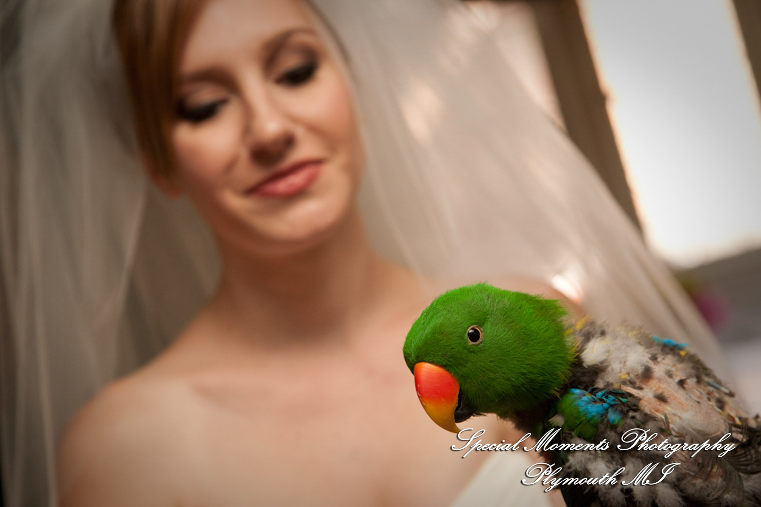 Lindsey & Jim at St. Ambrose Catholic Grosse Pointe Park MI wedding photograph