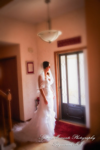 Dayna & Anthony at St. Nicholas Greek Orthodox Church Troy MI wedding photograph