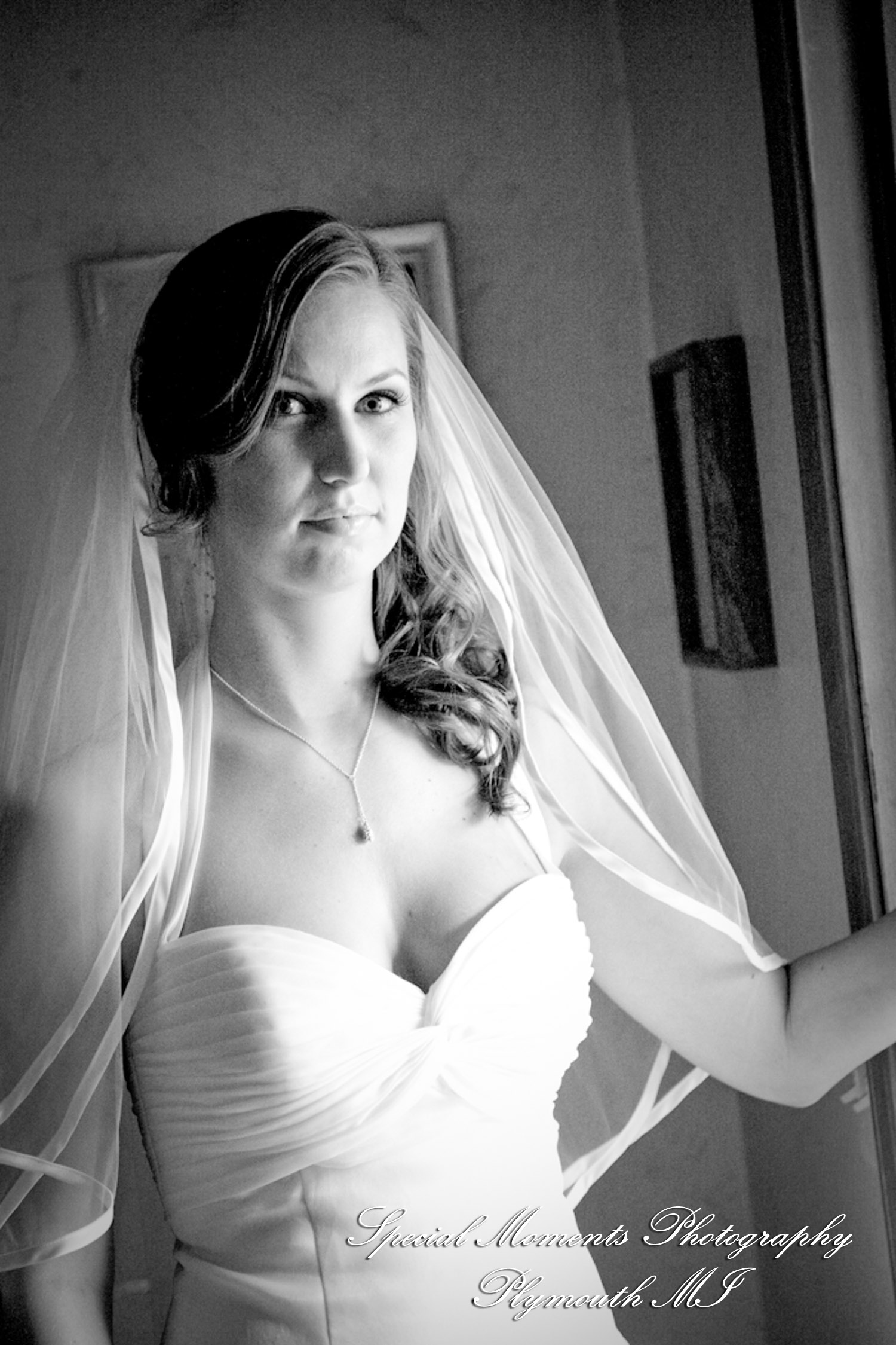 Dayna & Anthony at St. Nicholas Greek Orthodox Church Troy MI wedding photograph