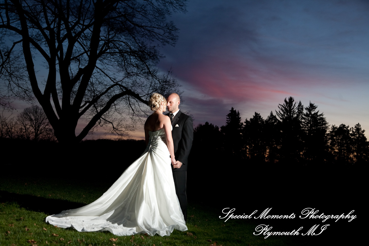 Lou & Brian at Meadow Brook Hall Rochester MI wedding photograph