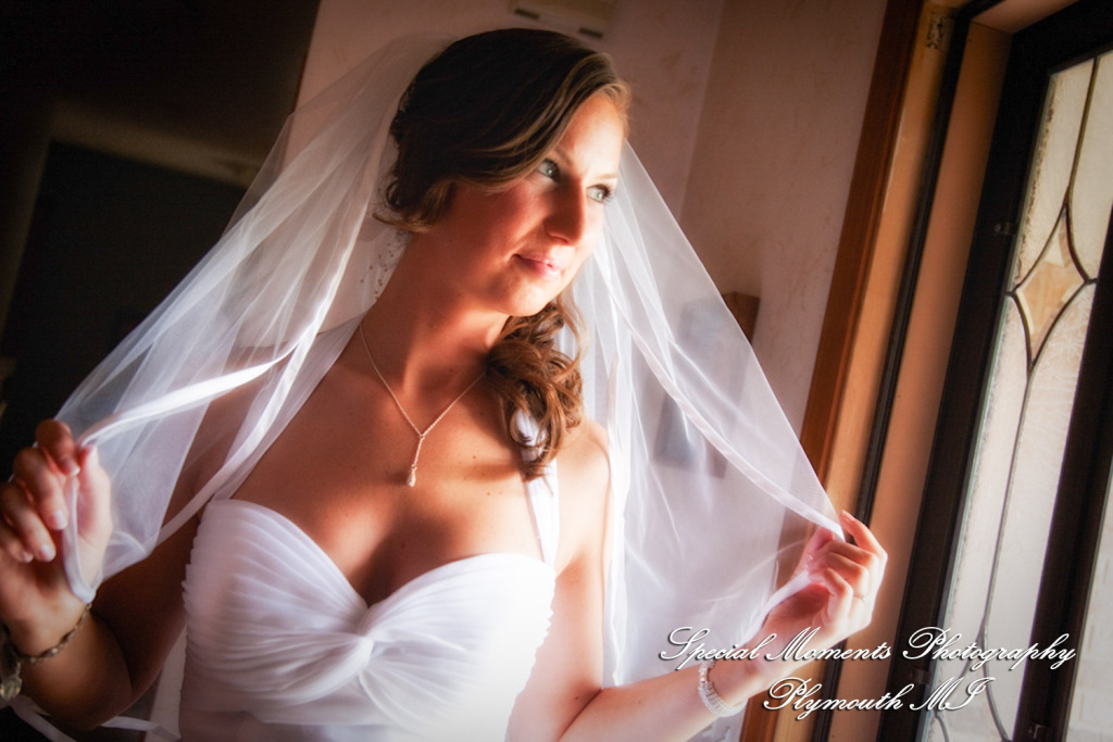 Dayna & Anthony at St. Nicholas Greek Orthodox Church Troy MI wedding photograph