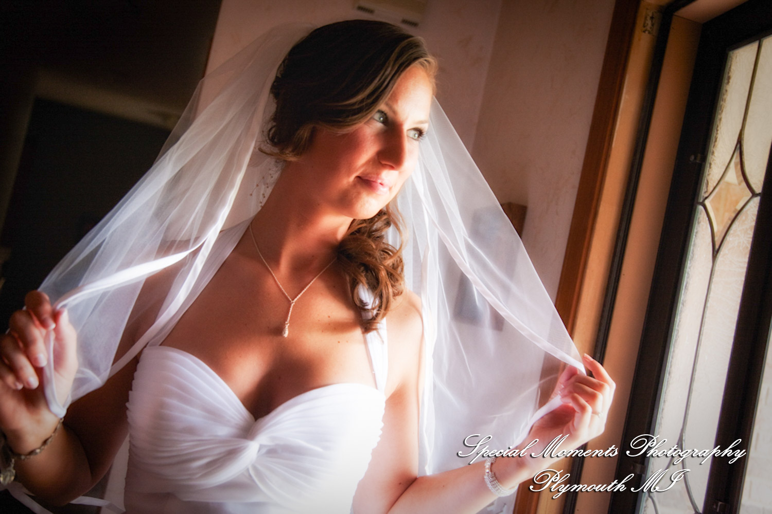 Dayna & Anthony at St. Nicholas Greek Orthodox Church Troy MI wedding photograph