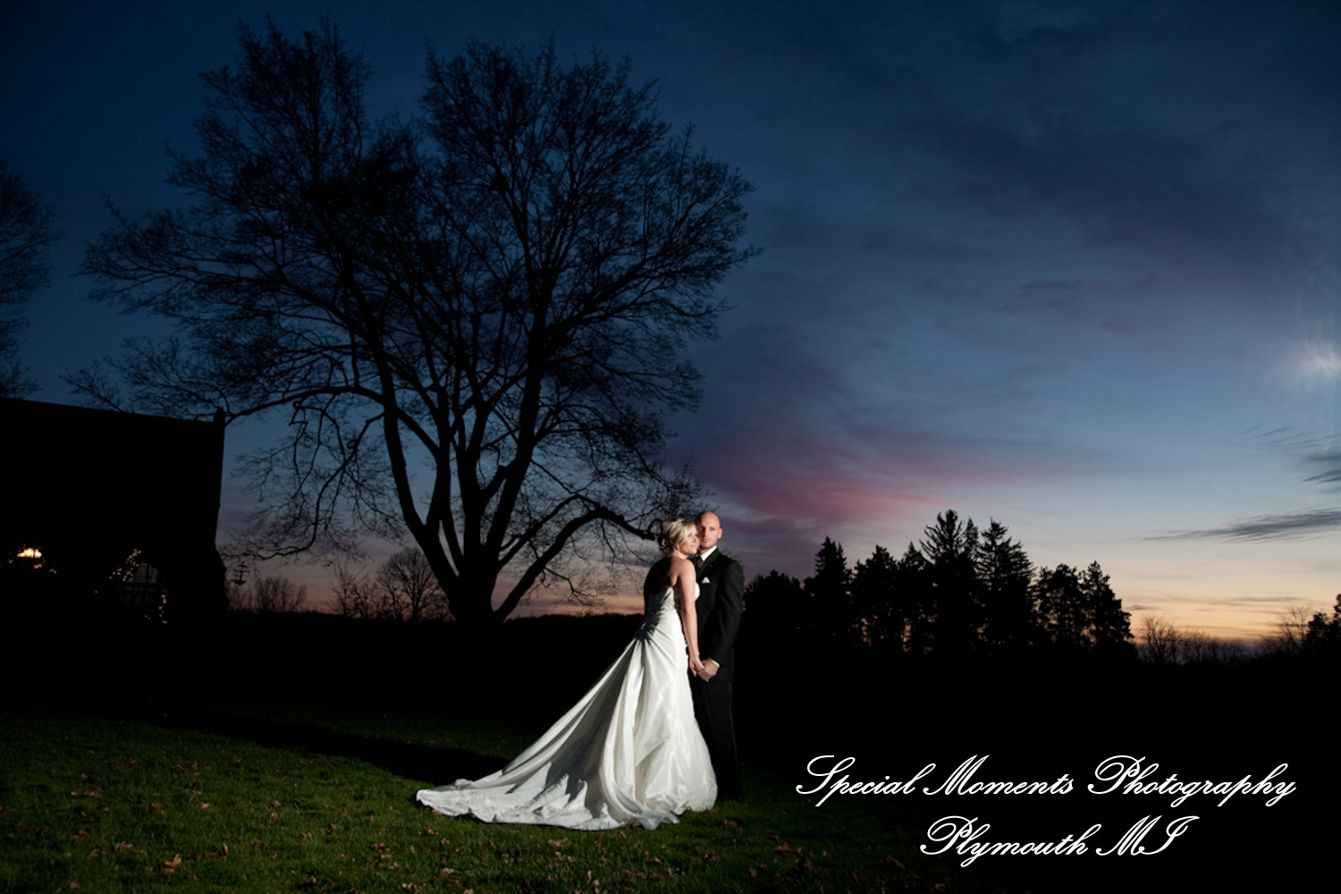 Lou & Brian at Meadow Brook Hall Rochester MI wedding photograph