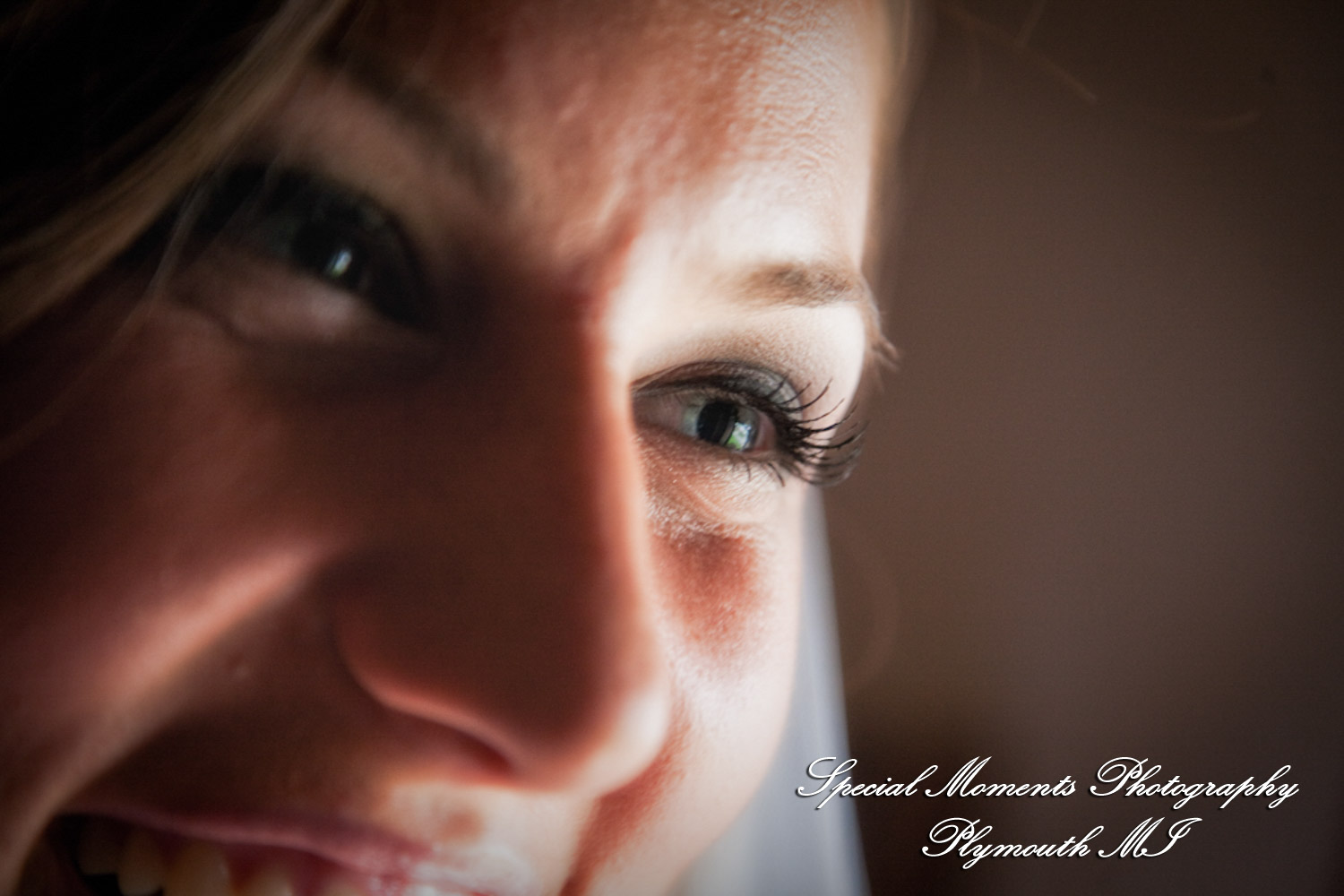 Dayna & Anthony at St. Nicholas Greek Orthodox Church Troy MI wedding photograph