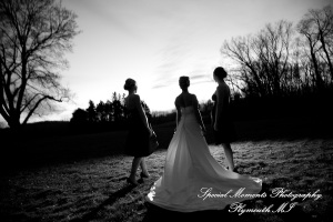 Lou & Brian at Meadow Brook Hall Rochester MI wedding photograph