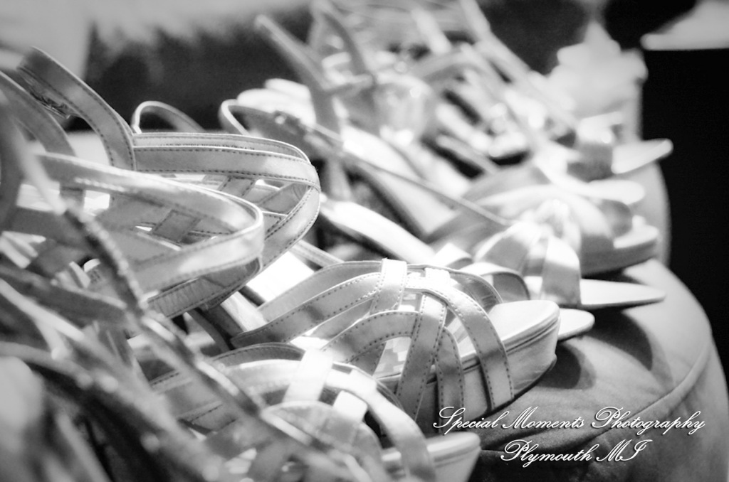 Dayna & Anthony at St. Nicholas Greek Orthodox Church Troy MI wedding photograph