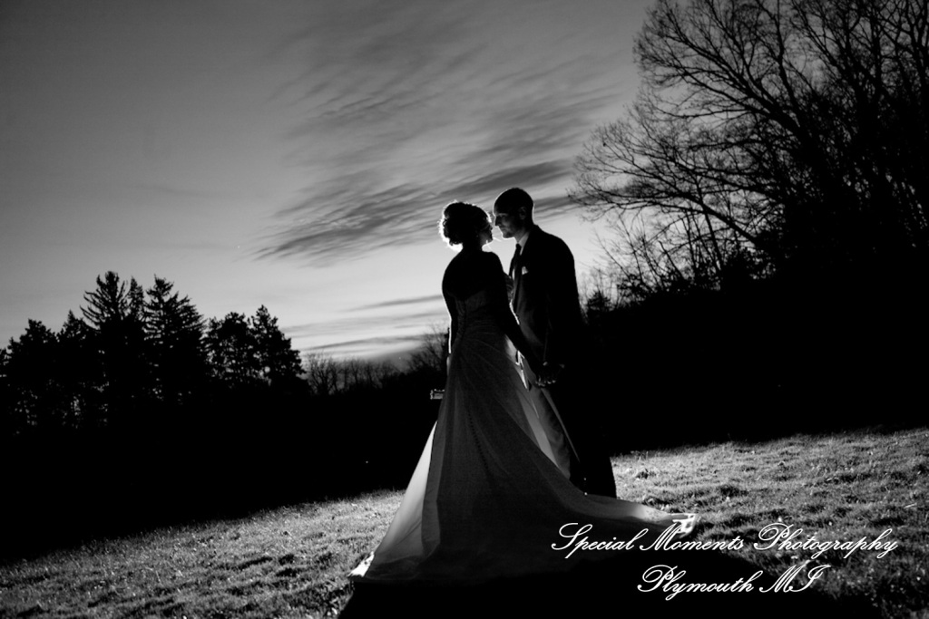 Lou & Brian at Meadow Brook Hall Rochester MI wedding photograph