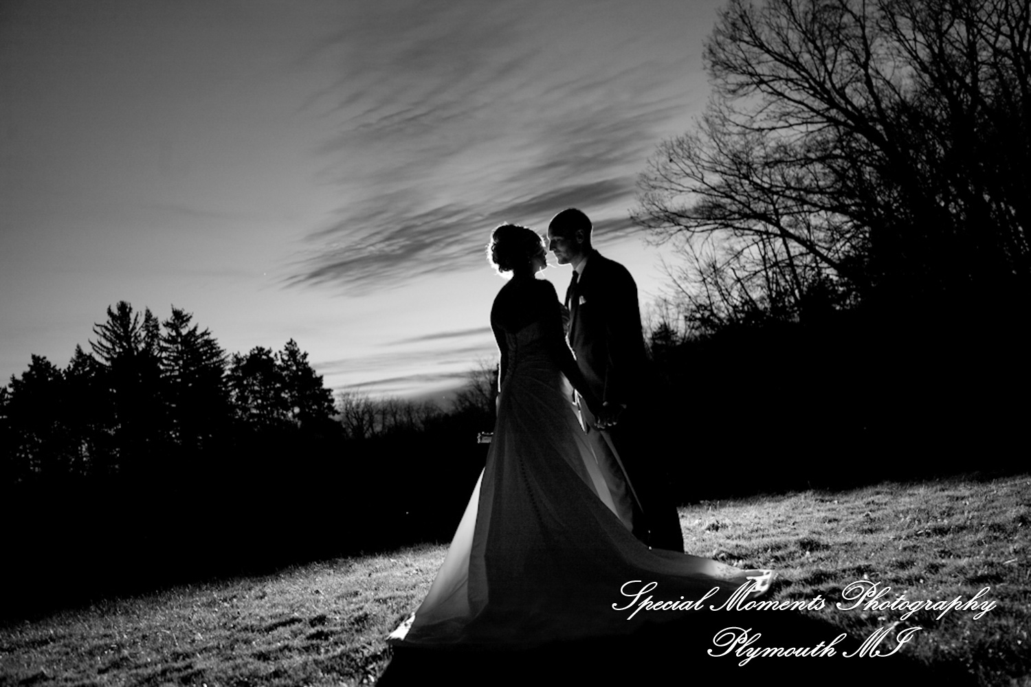Lou & Brian at Meadow Brook Hall Rochester MI wedding photograph
