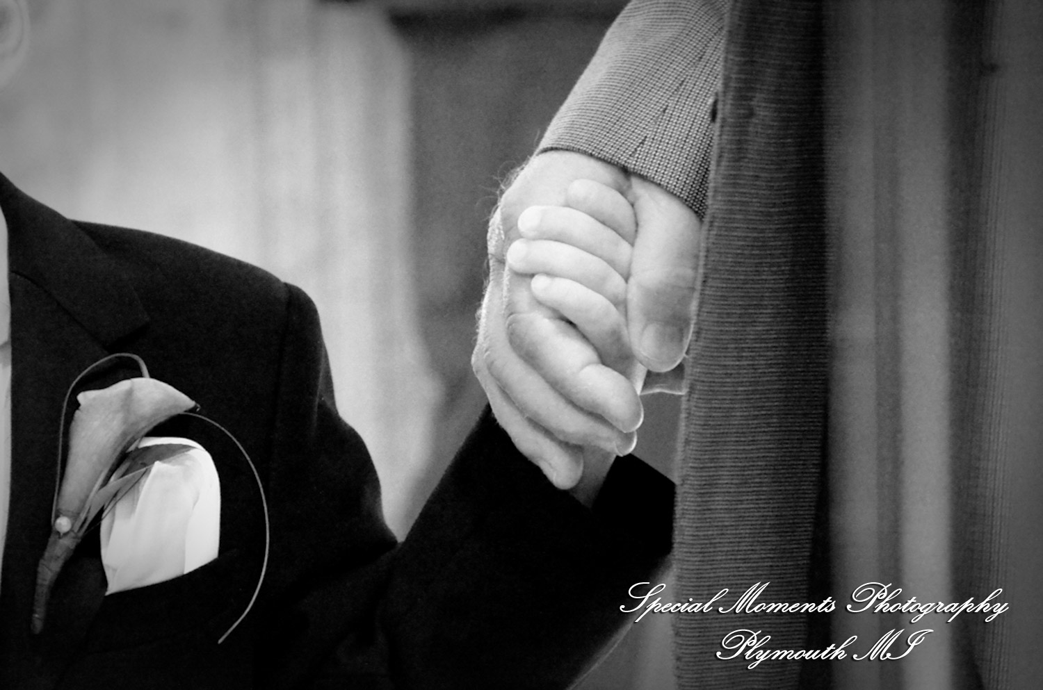 Dayna & Anthony at St. Nicholas Greek Orthodox Church Troy MI wedding photograph