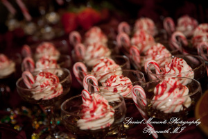 Lou & Brian at Meadow Brook Hall Rochester MI wedding photograph