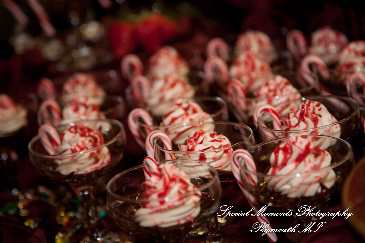 Lou & Brian at Meadow Brook Hall Rochester MI wedding photograph