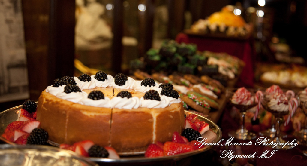 Lou & Brian at Meadow Brook Hall Rochester MI wedding photograph