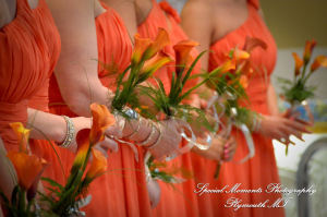 Dayna & Anthony at St. Nicholas Greek Orthodox Church Troy MI wedding photograph