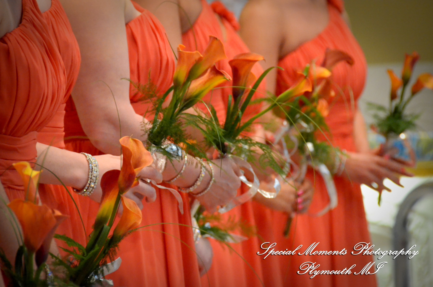 Dayna & Anthony at St. Nicholas Greek Orthodox Church Troy MI wedding photograph