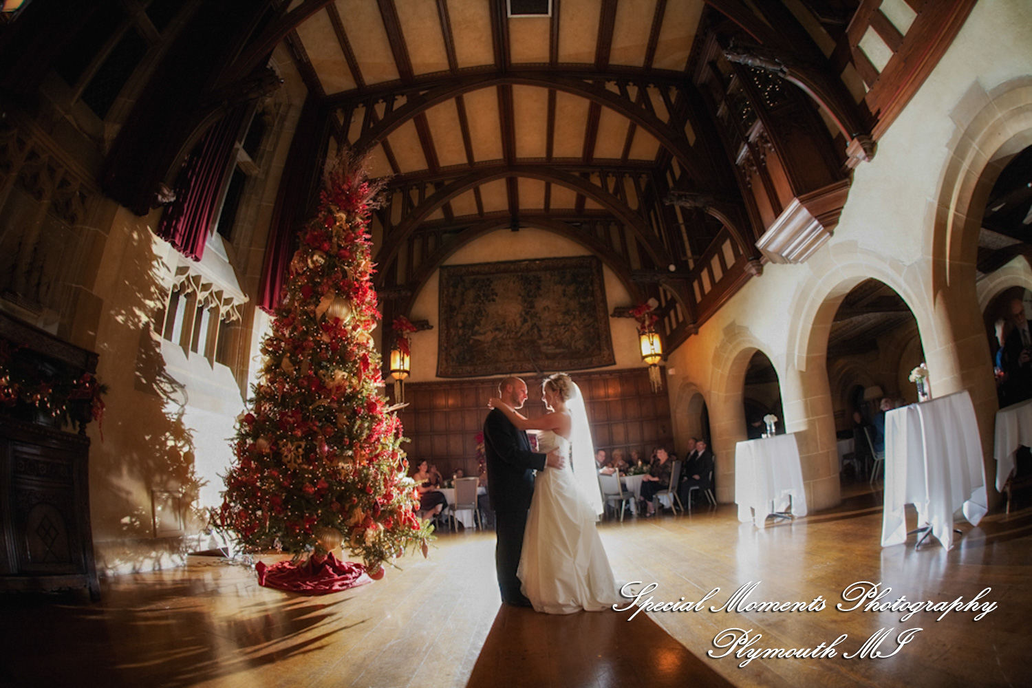 Lou & Brian at Meadow Brook Hall Rochester MI wedding photograph