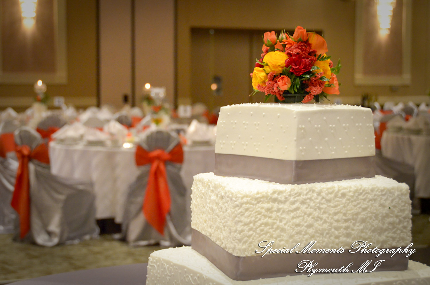 Dayna & Anthony at St. Nicholas Greek Orthodox Hall Troy MI wedding photograph