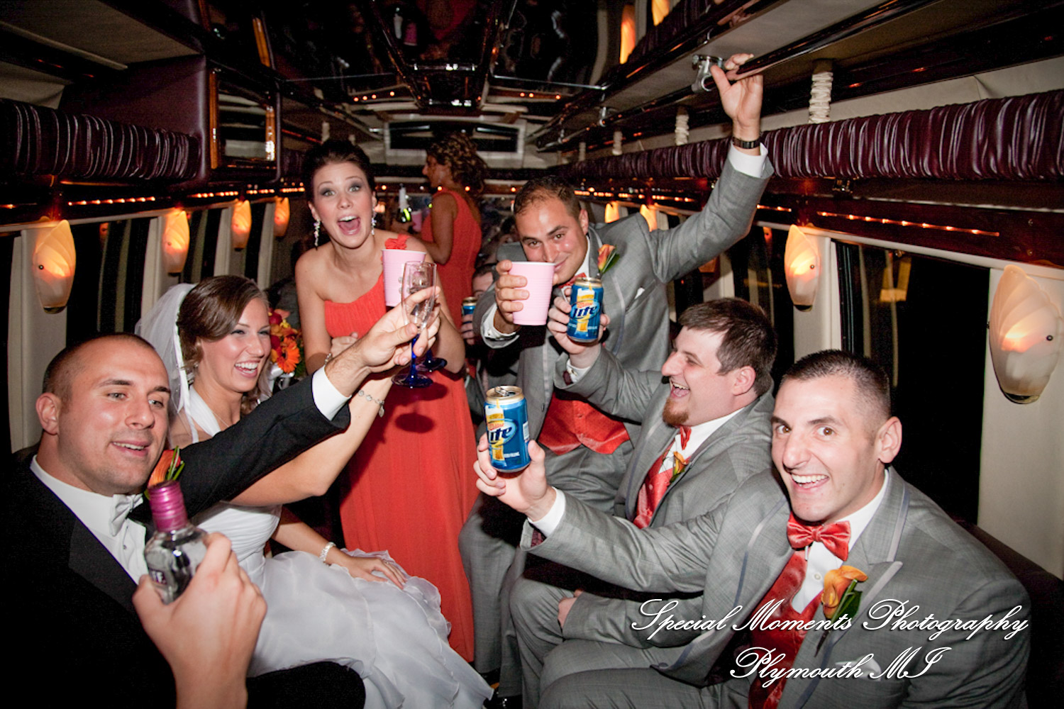 Dayna & Anthony at St. Nicholas Greek Orthodox Hall Troy MI wedding photograph