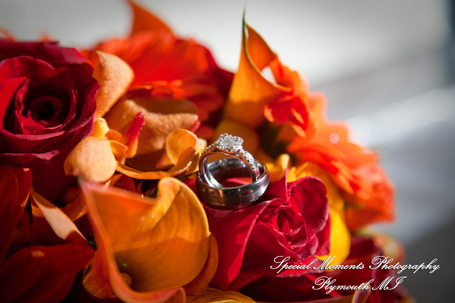 Dayna & Anthony at St. Nicholas Greek Orthodox Hall Troy MI wedding photograph